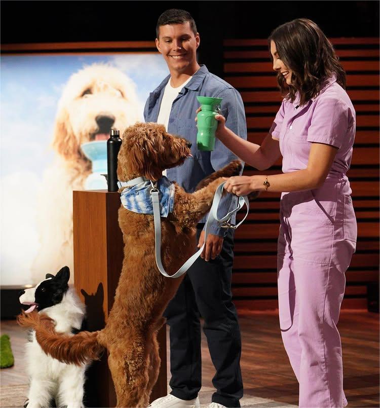 People presenting a dog with a product on a TV show set.