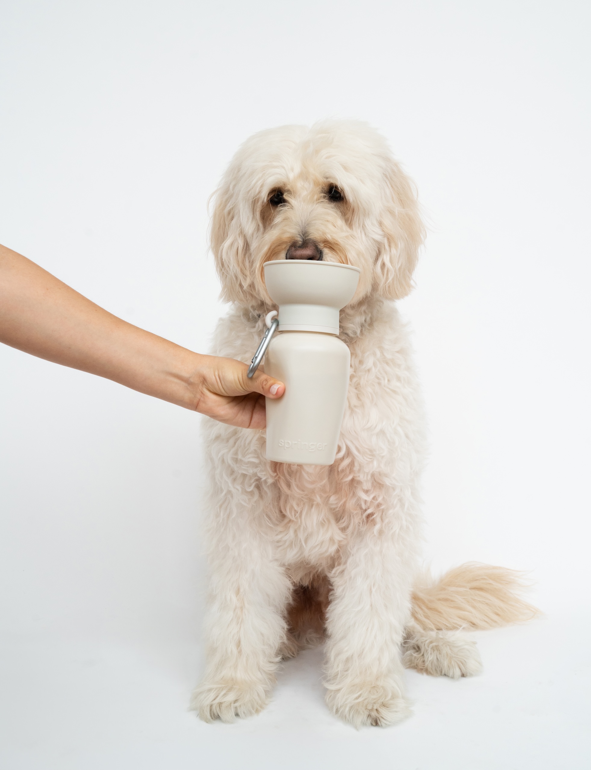 Fluffy dog drinking from a portable water bottle held by a person.