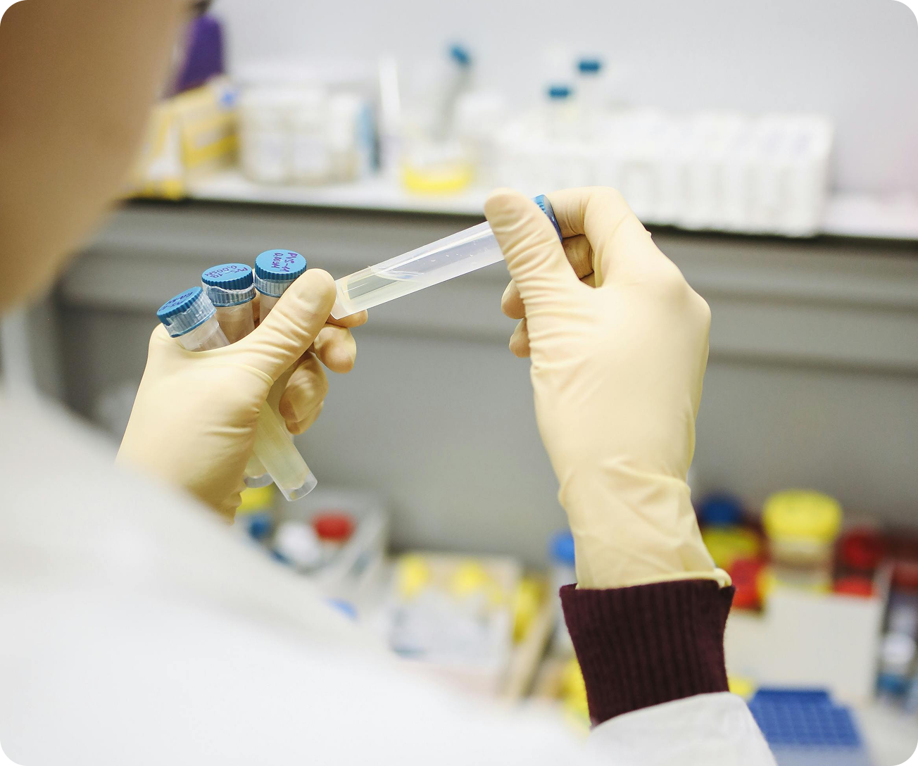 Person in gloves holding test tubes in a laboratory setting.