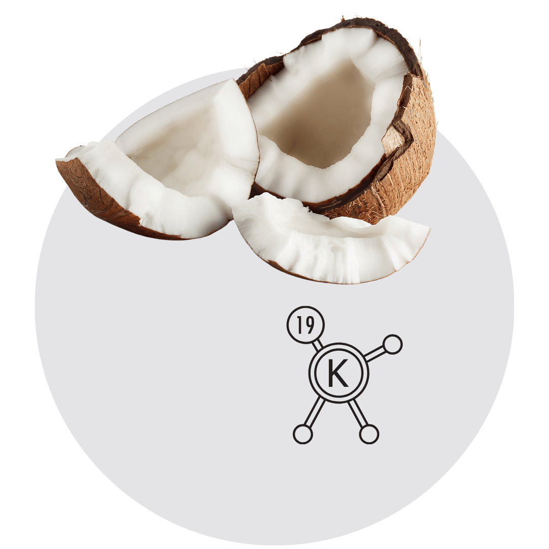 Halved coconut with potassium symbol on a light gray background.