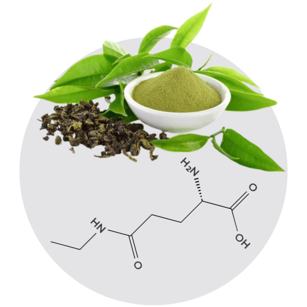 Green tea leaves, powder, and chemical structure illustration.