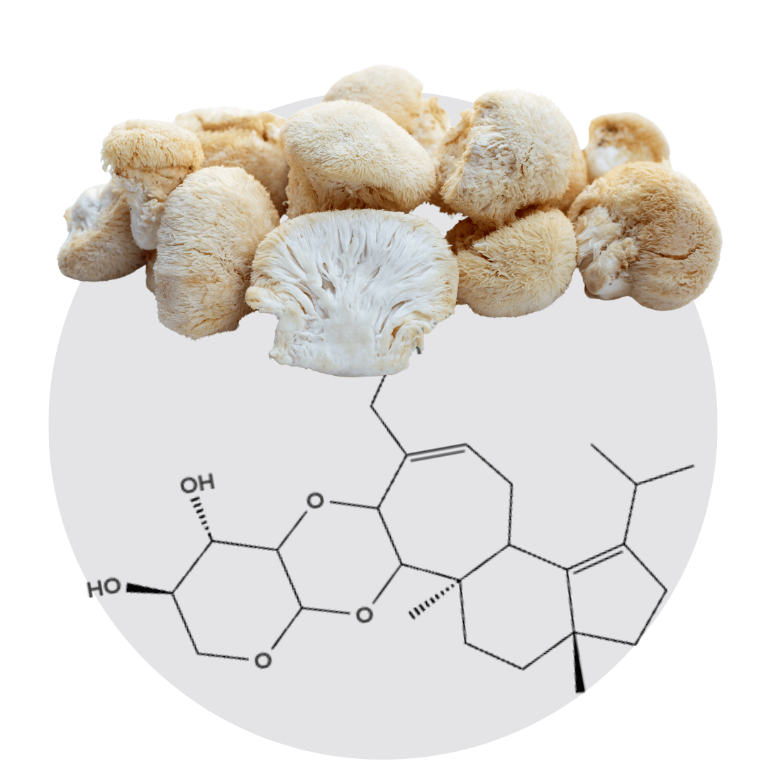 Cluster of mushrooms above a chemical structure diagram.