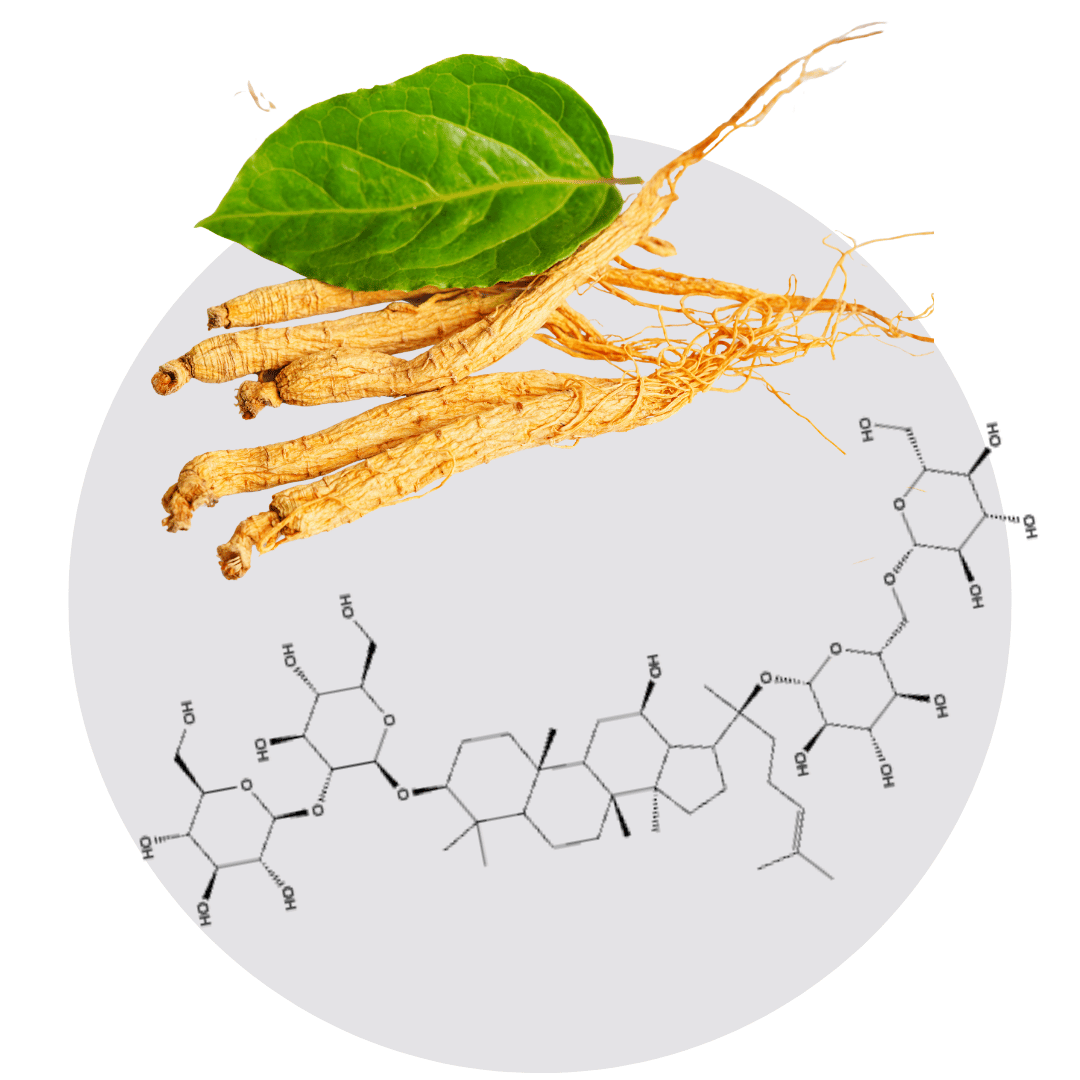 Ginseng roots and green leaf with chemical structure diagram.