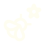 A stylized icon of a bee and a flower on a black background.