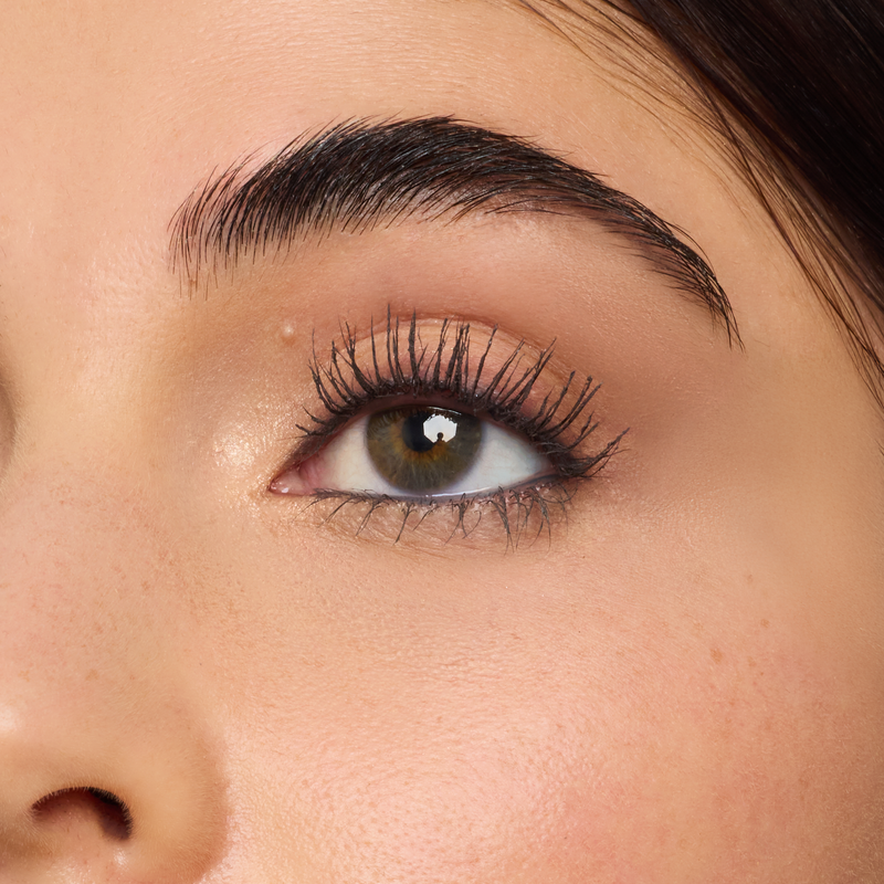 Close-up of a person's eye with mascara and well-groomed eyebrow.