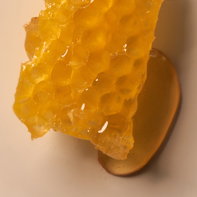 A close-up shot of a piece of golden honeycomb with a pool of honey next to it.
