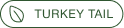 A green outlined button with a leaf icon next to the words 'TURKEY TAIL' in all caps.