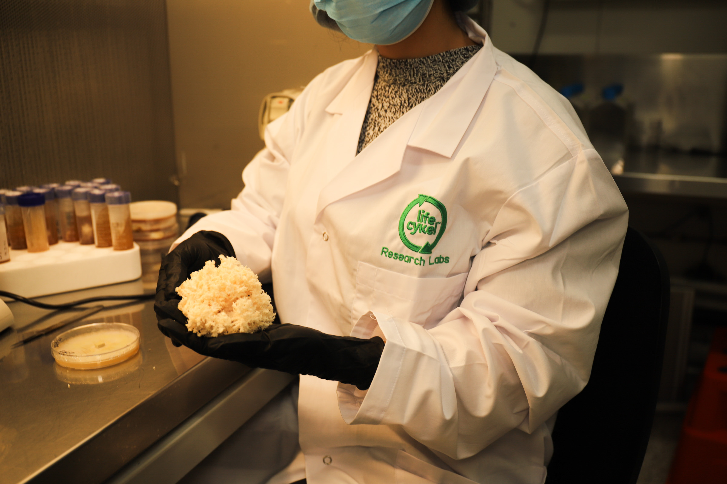 Person in lab coat holds a cluster of mushrooms in a laboratory.