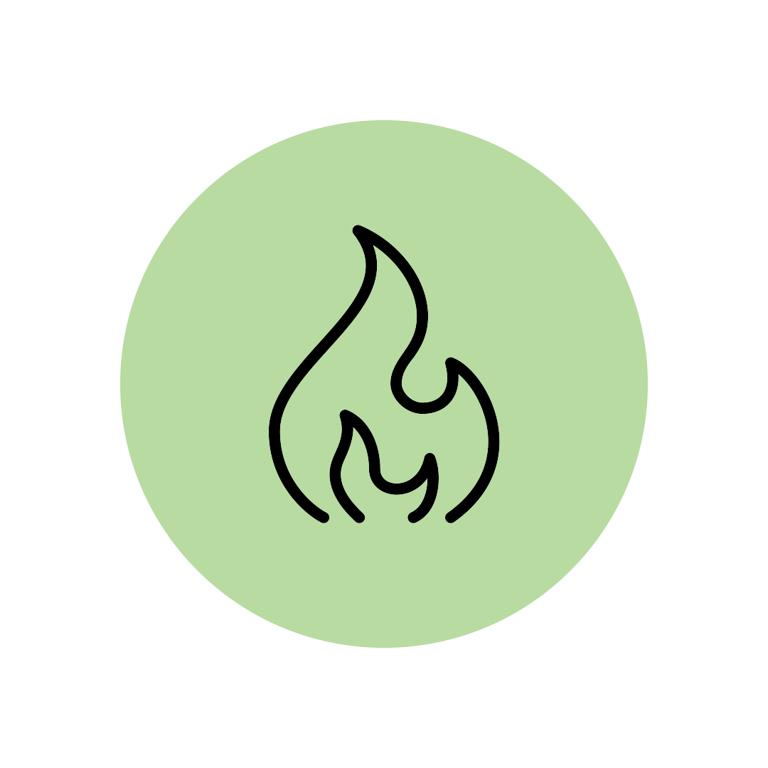 Black flame icon on a light green background.