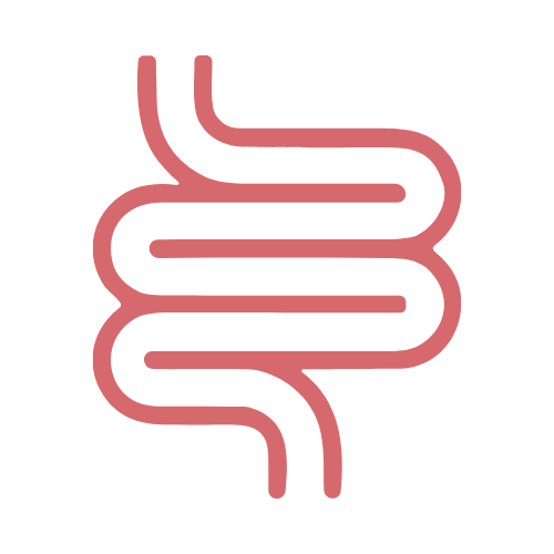 A pink, stylized icon of intestines on a transparent background.