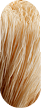 A close-up of a bundle of light-brown, hair-like fibers against a black background.