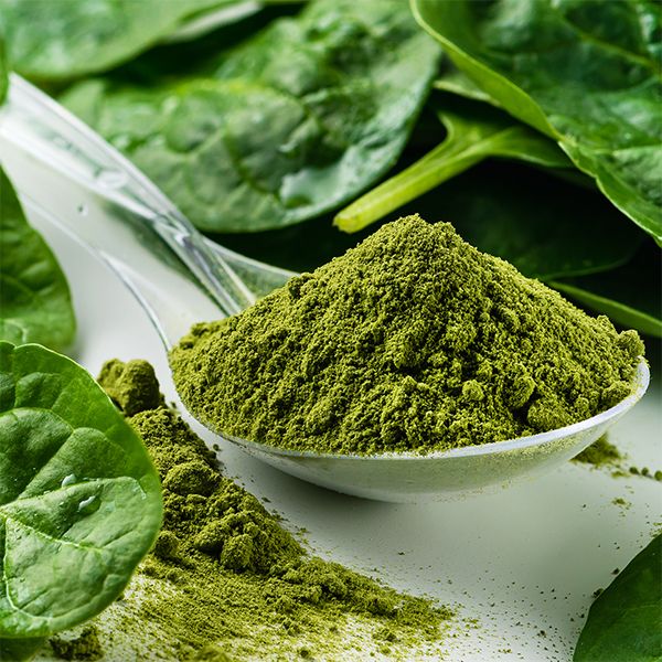 Spoon with green powder surrounded by fresh spinach leaves.