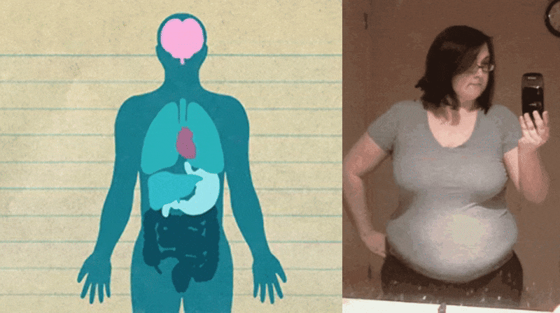 Illustration of human organs next to a person taking a mirror selfie.