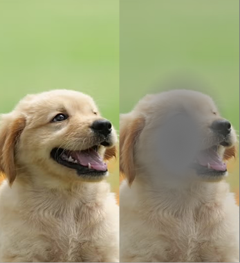 A split-screen image showing a clear photo of a puppy on the left and a blurry version on the right.