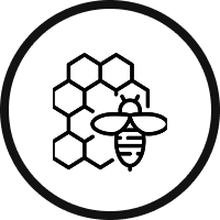 A line art icon of a bee on a honeycomb, enclosed in a circle.