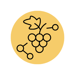 NMN combined with resveratrol for cellular health and energy