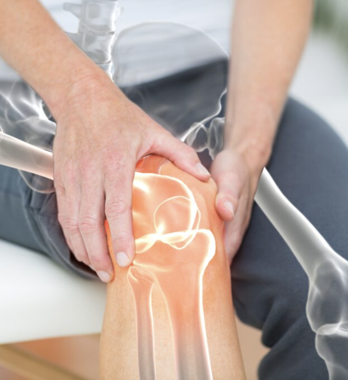 Person holding knee with highlighted joint and bones.