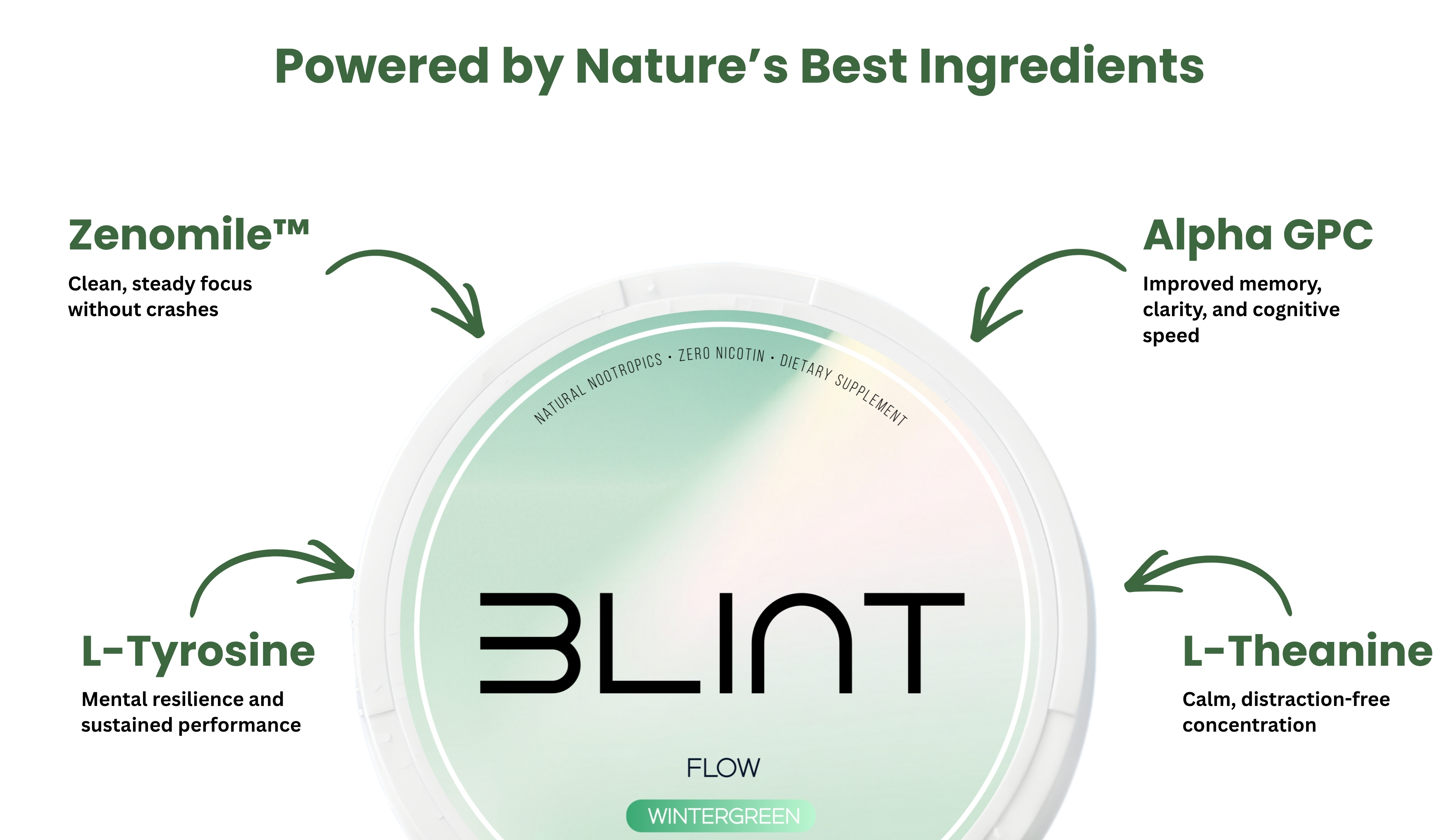 A container of BLINT dietary supplement surrounded by its four key ingredients and their benefits.