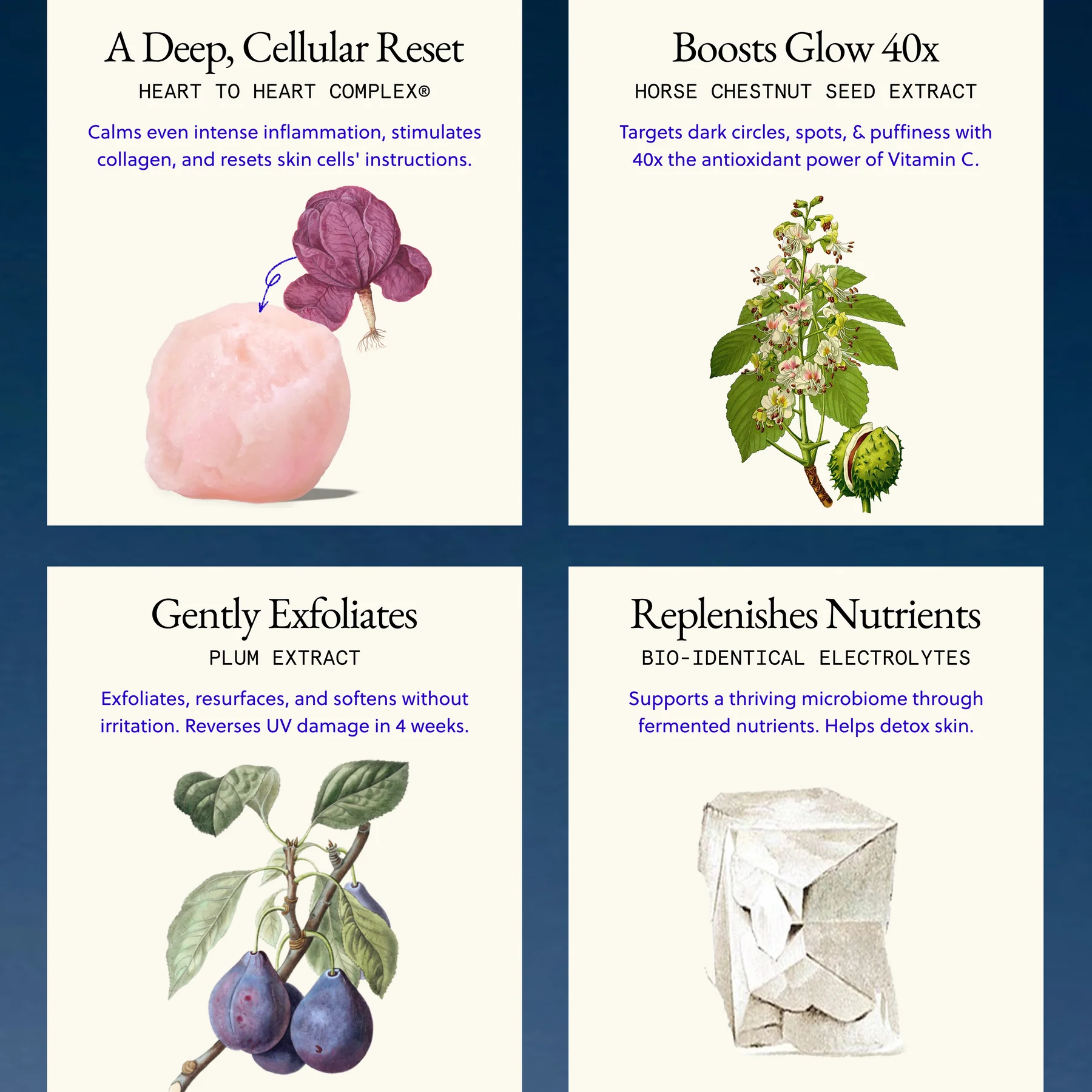 Four skincare product descriptions with images of ingredients like plum and horse chestnut.