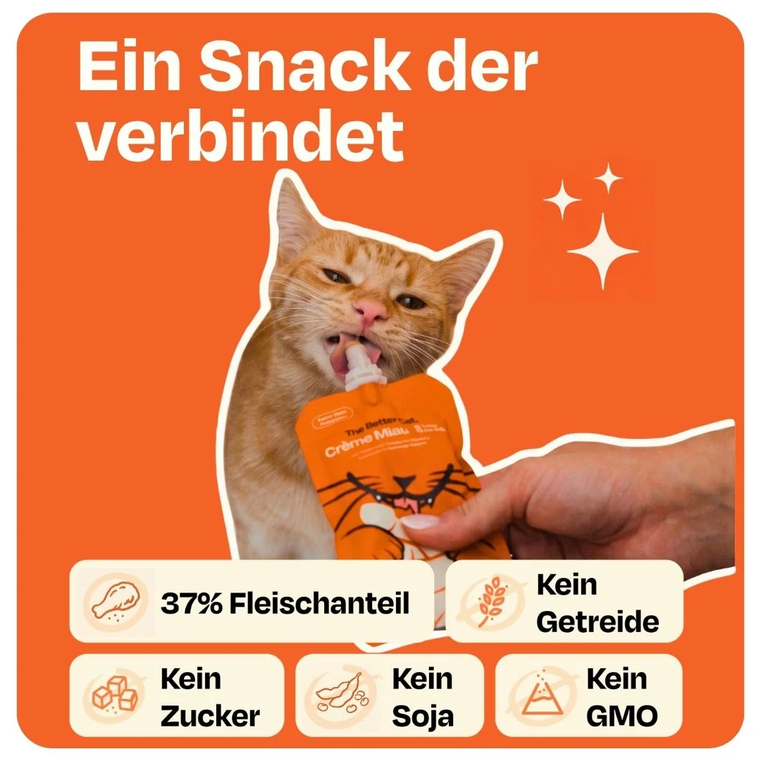 An advertisement in German shows a ginger cat licking a treat from a pouch held by a person's hand.