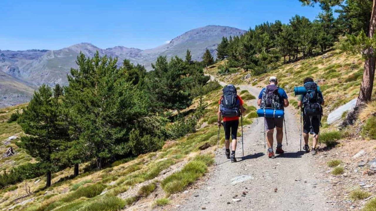 Three hikers with backpacks walking on a mountain trail.