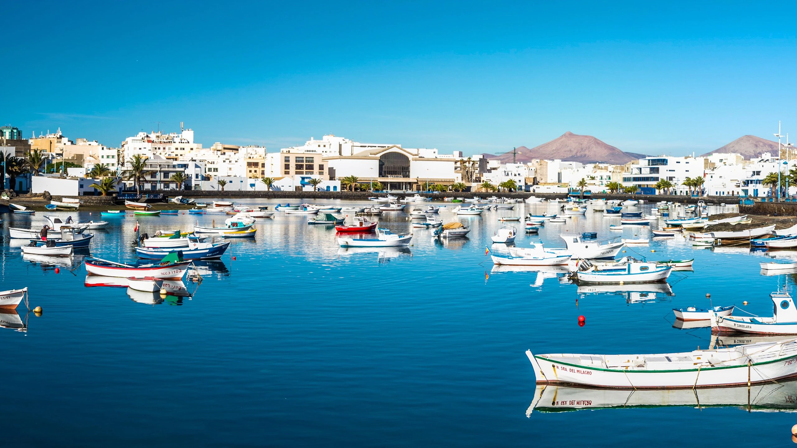 Boats floating on a calm harbor with buildings and mountains in the background.