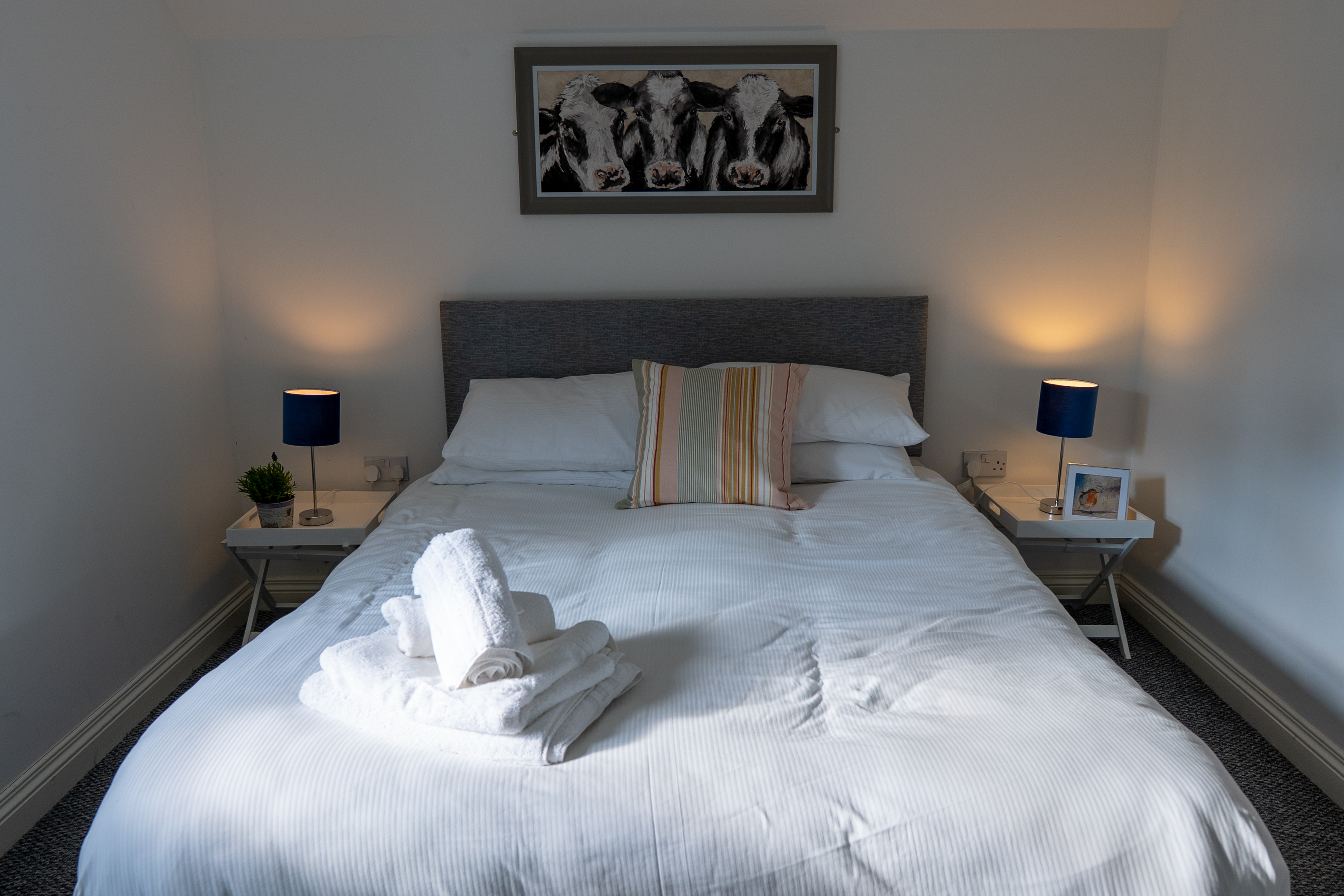 A neatly made bed with white linens, two lamps, and a cow painting above.