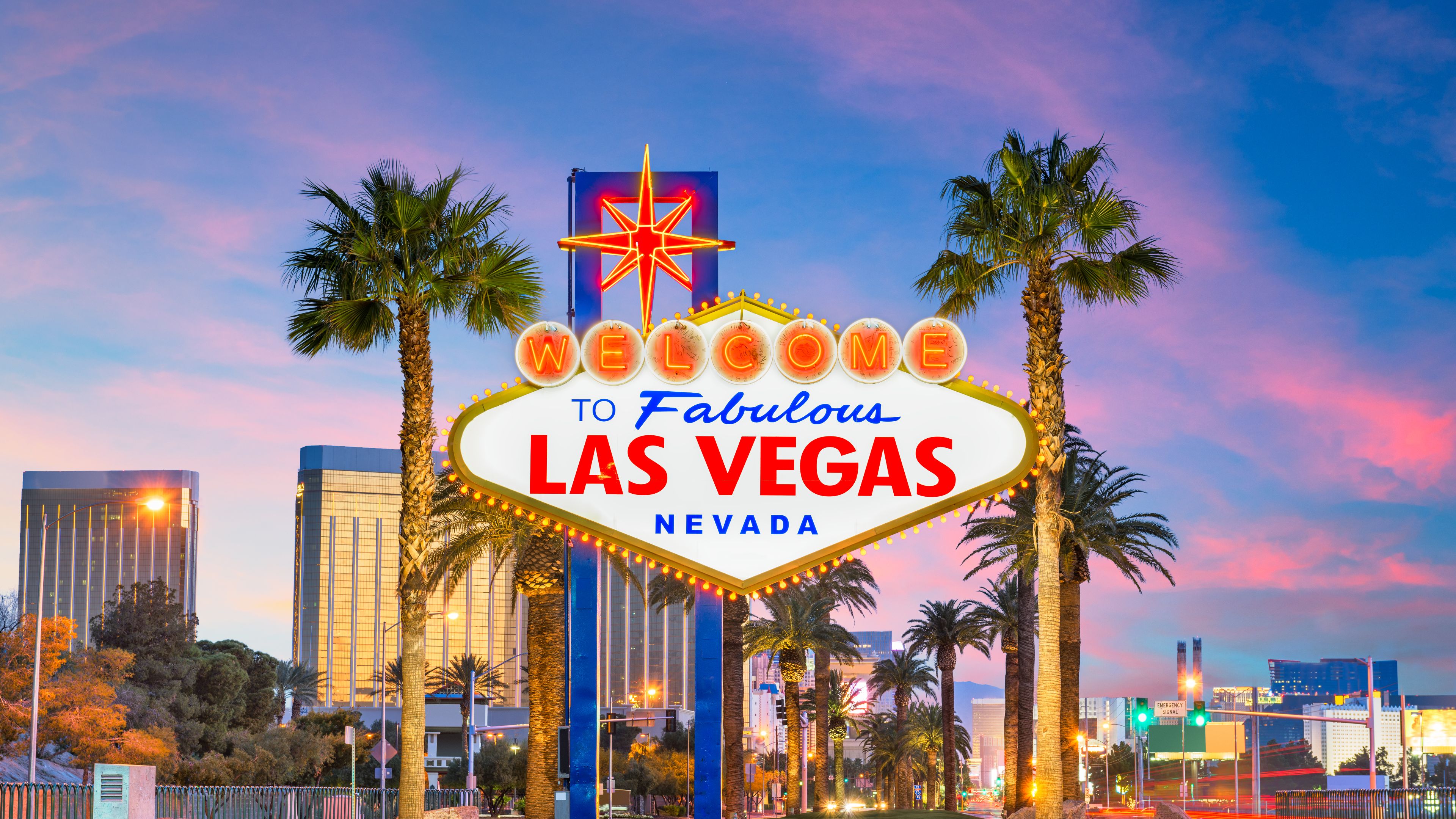 Welcome to Las Vegas sign with palm trees and city skyline.