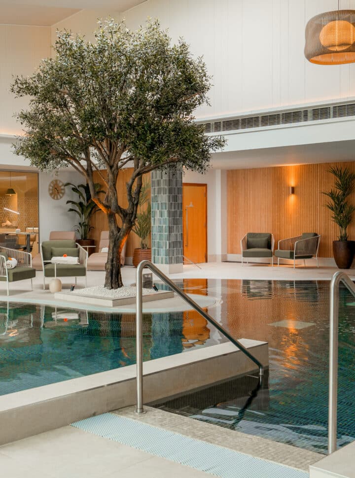 Indoor pool area with a tree, lounge chairs, and modern decor.