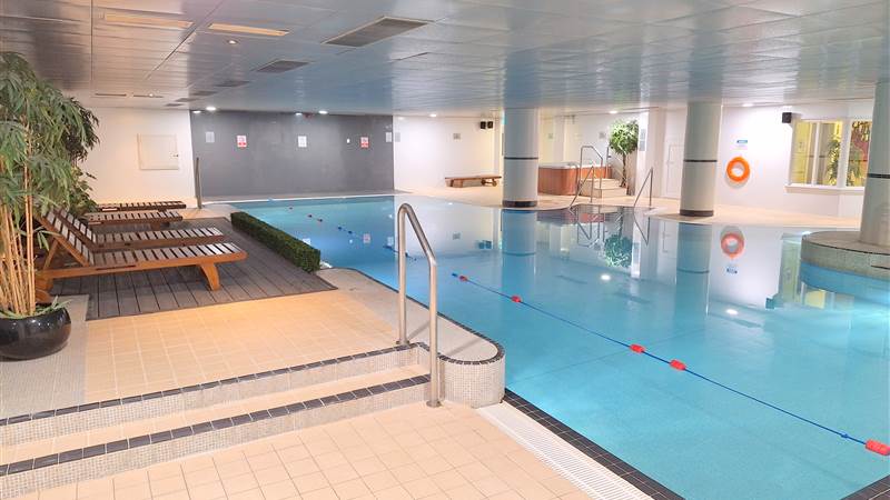 Indoor swimming pool with lounge chairs and potted plants.