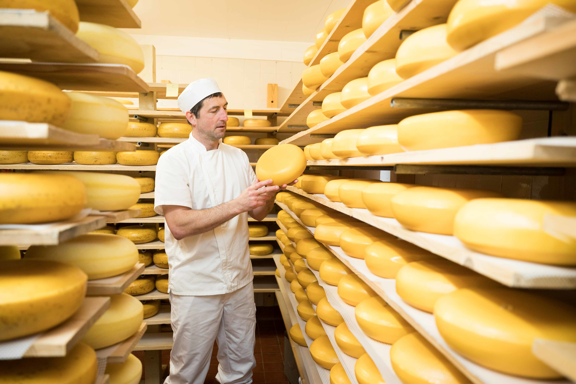 Man in white uniform inspecting cheese wheels on shelves.