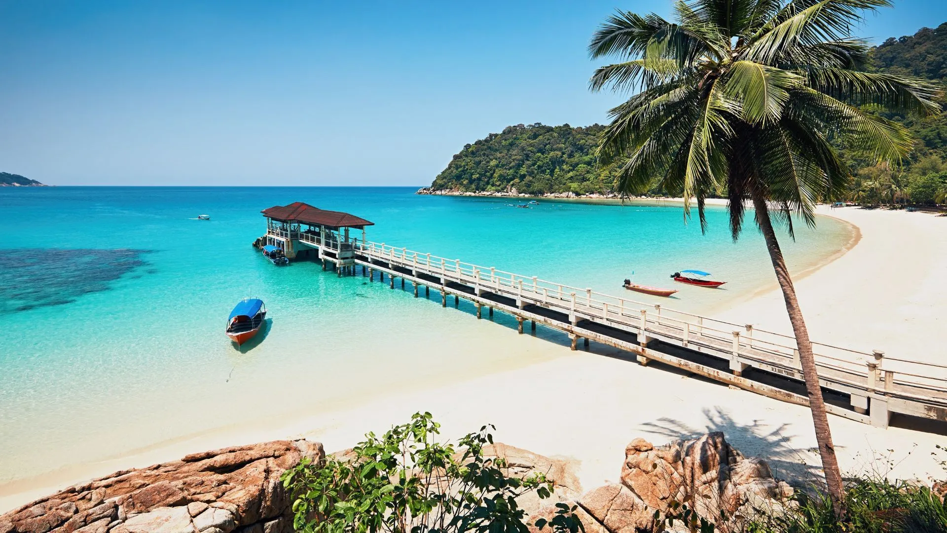Tropical beach with a pier, boats, and palm trees.