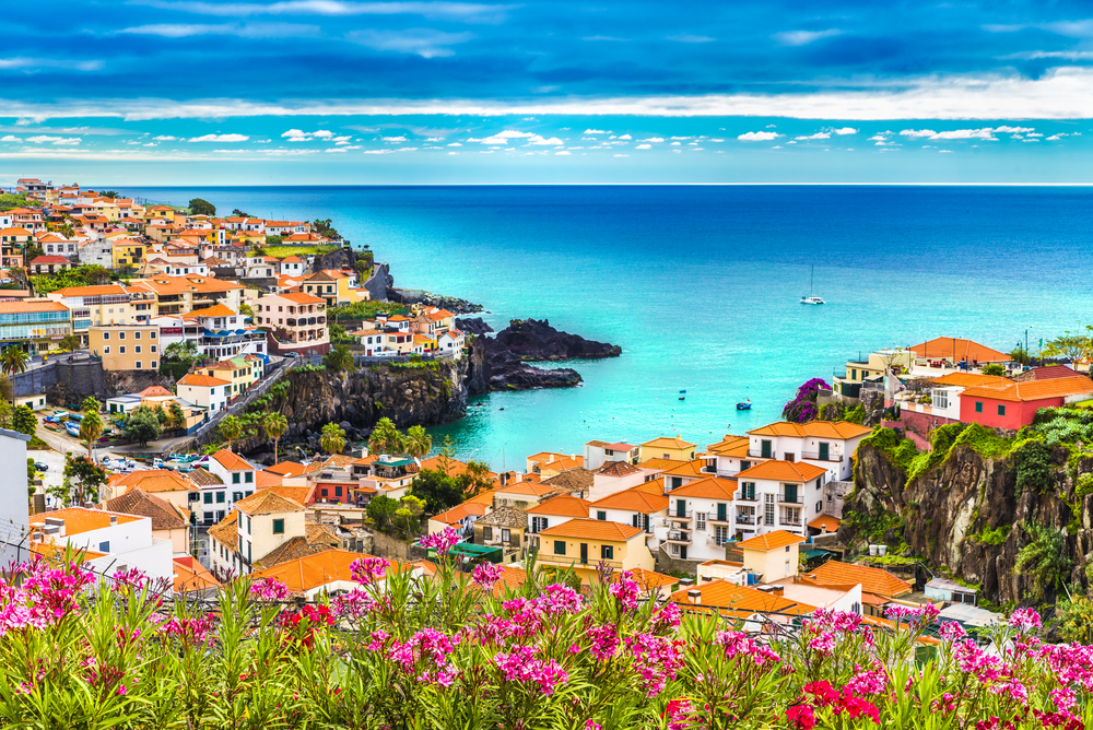 A colorful coastal village on a cliff overlooking the ocean, with pink flowers in the foreground.