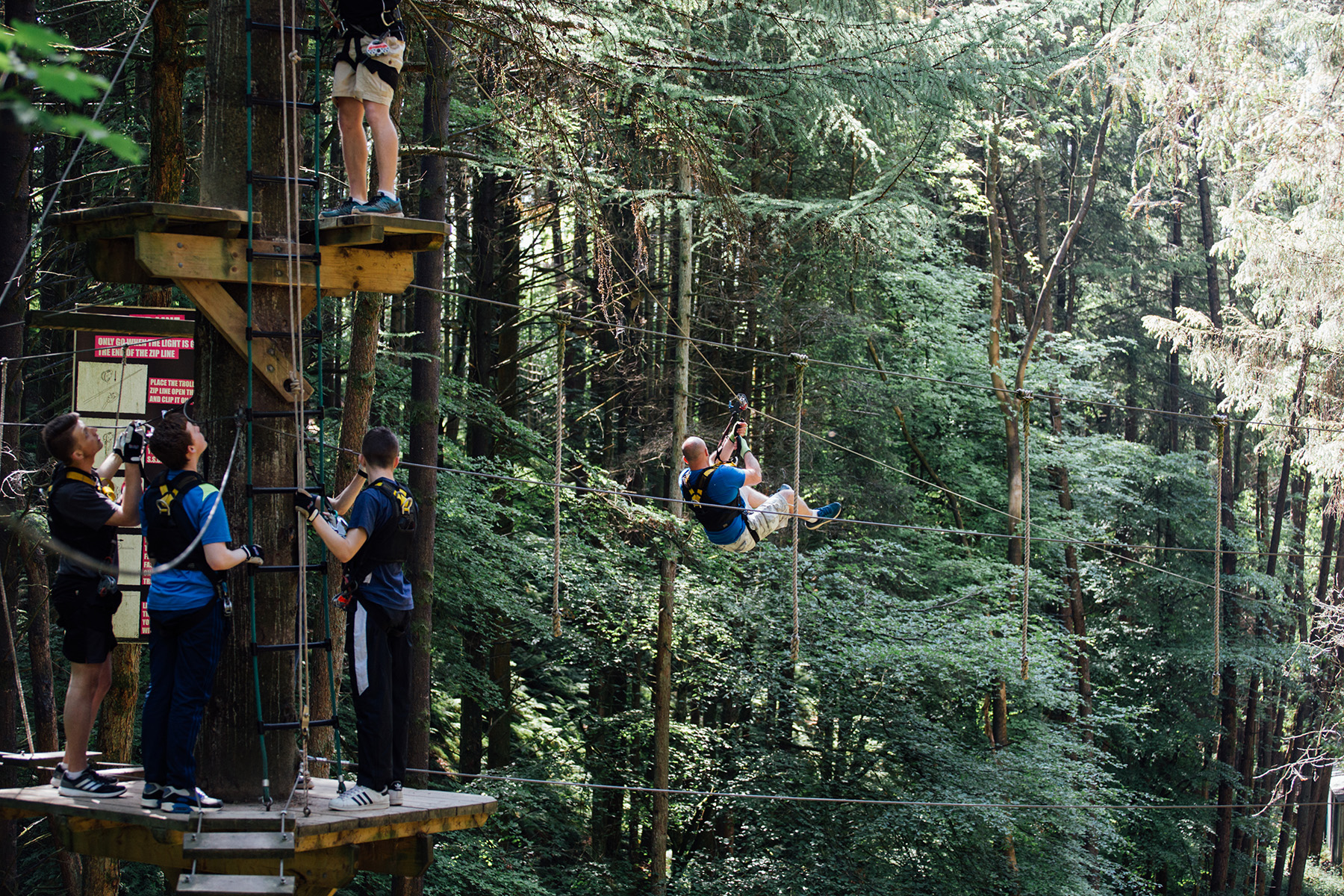 People zip-lining and climbing platforms in a forest adventure park.