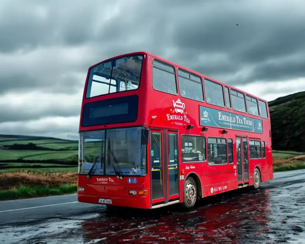 Red double-decker bus on a rural road under cloudy skies.