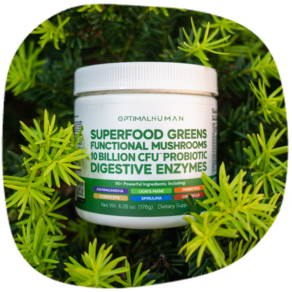 A jar of superfood greens supplement surrounded by green foliage.
