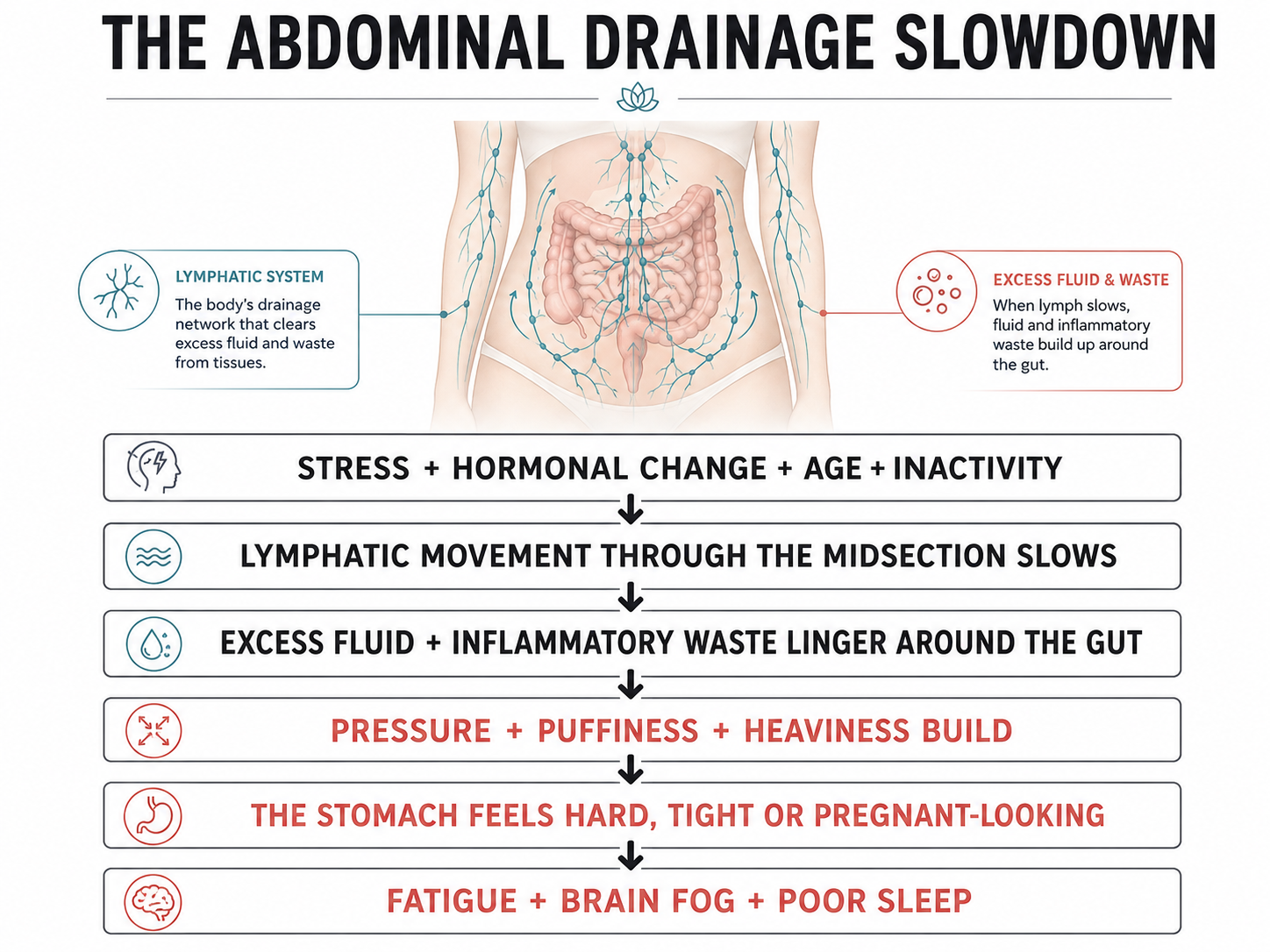 An infographic titled 'The Abdominal Drainage Slowdown' showing a flowchart of causes and symptoms.