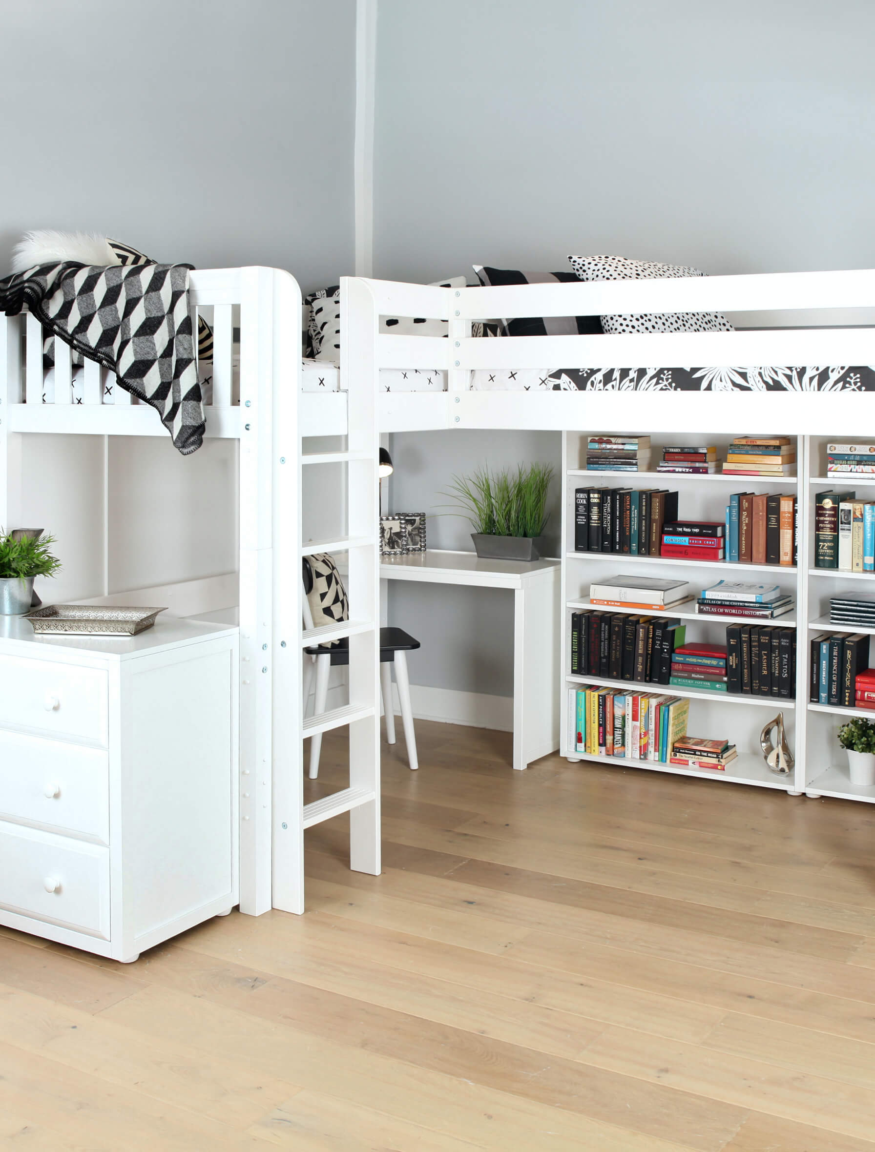 White loft bed with ladder and study area featuring shelves full of books, modern decor, and hardwood flooring.