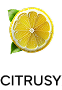 A sliced lemon with two green leaves on a black background.