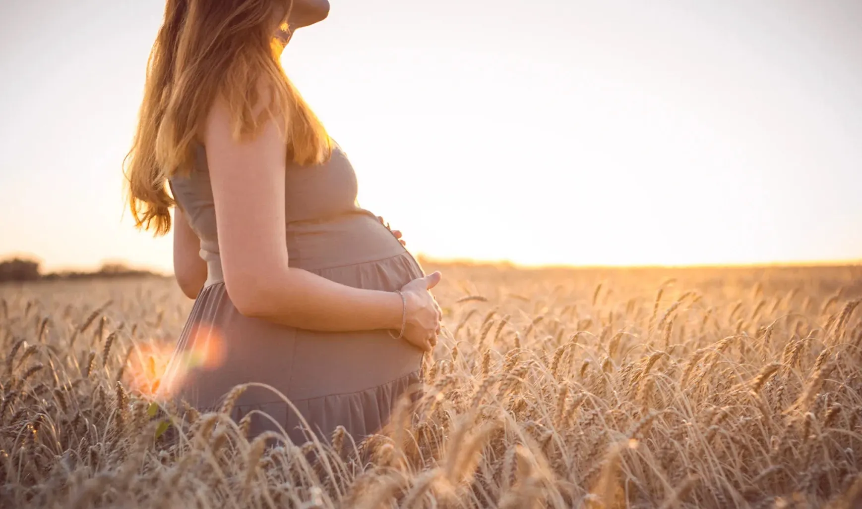 Pregnant woman standing in a wheat field at sunset.