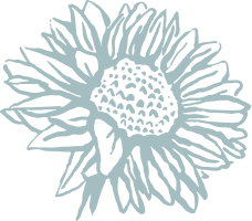 A stylized, light blue line drawing of a sunflower.