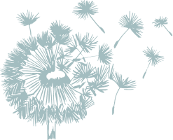 A light blue sketch of a dandelion with its seeds blowing away in the wind.