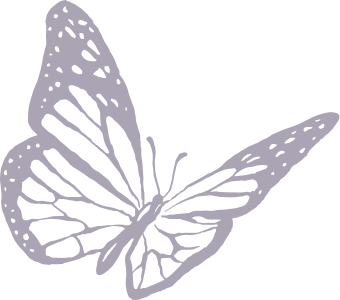 A pink, sketch-style illustration of a swallow in flight, facing right.
