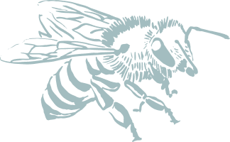 A light blue, stylized illustration of a honeybee against a transparent background.