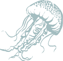 A stylized, light blue illustration of a jellyfish on a transparent background.