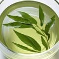 Green Tea Extract