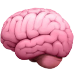 A stylized, pink illustration of a human brain shown from the side.