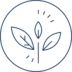 A circular line-drawing icon of a plant with three leaves and lines indicating growth.