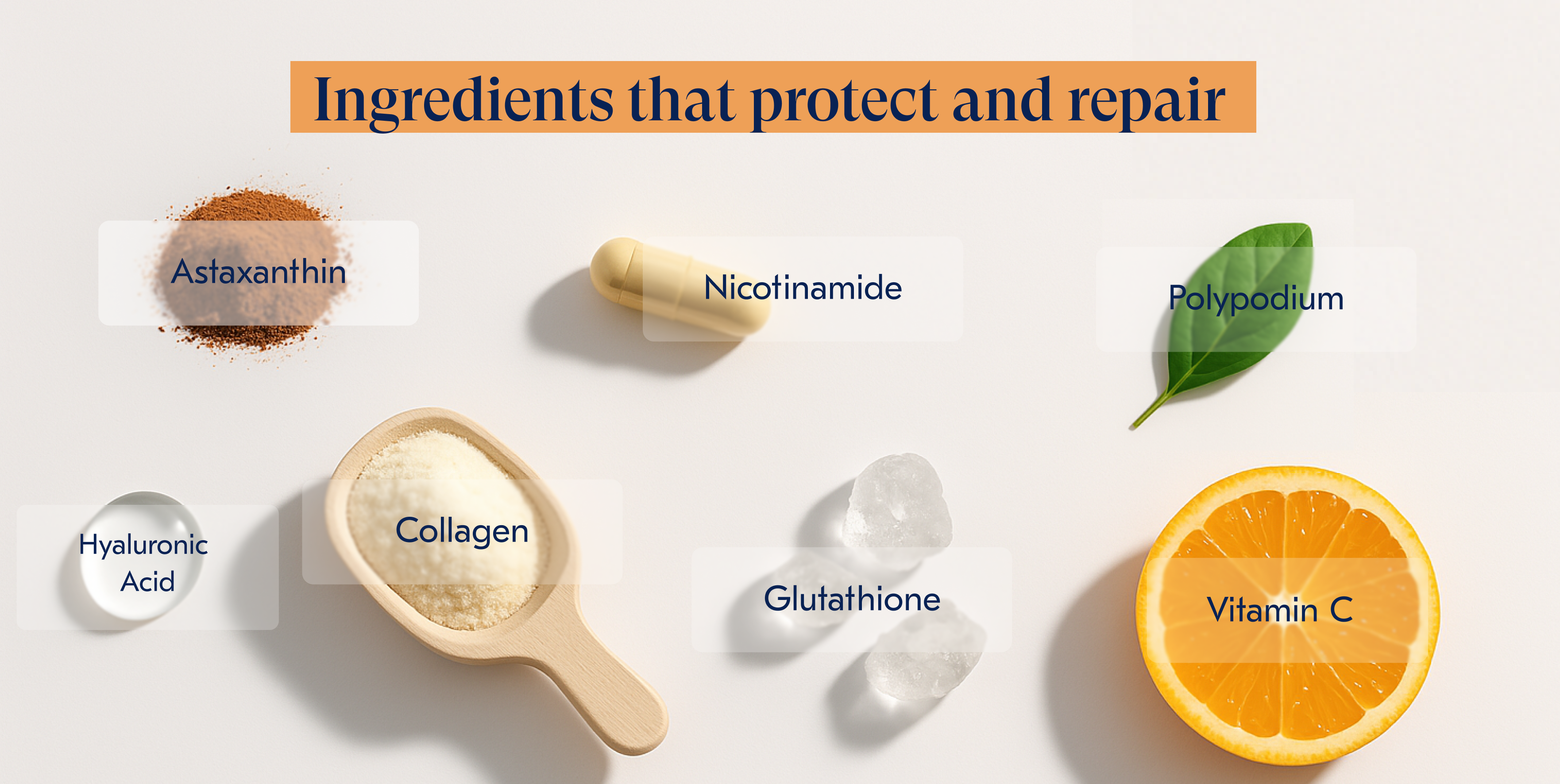 Various ingredients labeled for protection and repair, including powders, capsules, and a citrus slice.