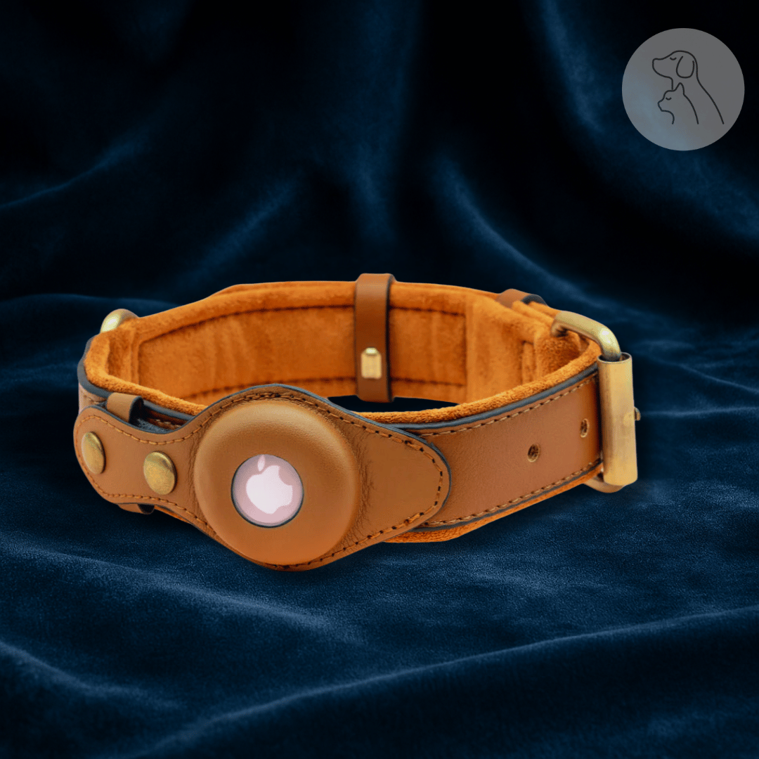 Brown leather dog collar with a round electronic device on a dark fabric background.